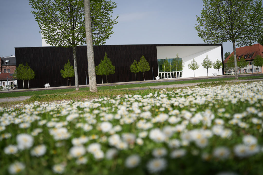 Institut für Musikinformatik und Musikwissenschaft